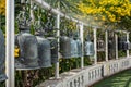 Buddhist temple bells. Bells in a buddhist temple of Thailand. Row of large bells Royalty Free Stock Photo