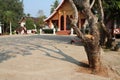 buddhist temple - luang prabang - laos Royalty Free Stock Photo