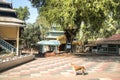 Buddhist temple on Maheskhali Island, Bangladesh