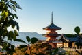 Buddhist Temple and Pagoda Kiyomizu-dera in Kyoto, autumn, Japan Royalty Free Stock Photo