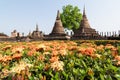 Buddhist temple in Sukhothai ancient city, Thailand