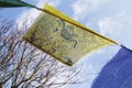 Buddhist tibetan prayer flags waving in the wind against blue sky Royalty Free Stock Photo