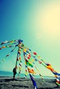 Buddhist tibetan prayer flags Royalty Free Stock Photo