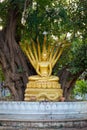 Buddhist Wat Aham temple Laos