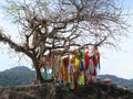 Buddhist Wish Tree with ribbons of all colors tied on it, fluttering in the wind Royalty Free Stock Photo