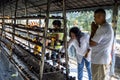 Buddhist worshippers lighting oil lamps in Sri Lanka.