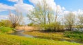 Budding willow tree and shrubs on the banks of a river