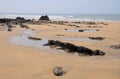 Bude beach Royalty Free Stock Photo