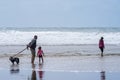 Bude, Cornwall UK July 6 2020. Family with dog walk on the beach enjoying the view of high waves Royalty Free Stock Photo