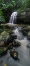 Buderim Falls