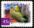 Budgerigar Australian Postage Stamp