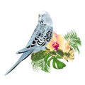 Budgerigar blue pets parakeet on a bouquet with tropical flowers yellow orchid phalenopsis palm,philodendron