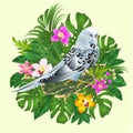 Budgerigar blue parakeet on a bouquet with tropical flowers yellow orchids cymbidium palm,philodendron,ficus nature