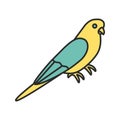 Budgerigar color icon