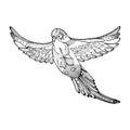 budgerigar flying pose, parrot, bird consisting of patterns and lines, coloring book for adults and children, black and white