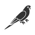 Budgerigar glyph icon