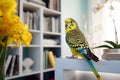 Budgerigar parrot sitting on a table in the room