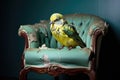 budgerigar perched on an empty armchair