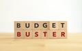 BUDGET BUSTER. Business and finance concept