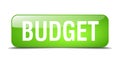 budget button Royalty Free Stock Photo