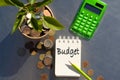 Budget. Concept for business, finance, money saving and investment. The plant grows in a container with coins.