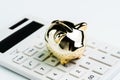 Budget, cost or investment calculation and financial activity concept, golden shiny piggy bank wearing glasses on white calculator Royalty Free Stock Photo