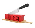 Budget Cuts Concept Royalty Free Stock Photo