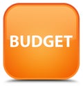 Budget special orange square button Royalty Free Stock Photo