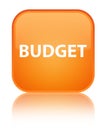 Budget special orange square button Royalty Free Stock Photo