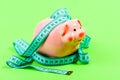 Budget limit concept. Financial consulting. Economics and finances. Pig trap. Budget crisis. Planning budget. Business Royalty Free Stock Photo
