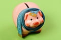 Budget and squeezed savings concept. Ceramic toy pig Royalty Free Stock Photo