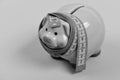 Piggy bank. Investments and metering or counting idea. Royalty Free Stock Photo