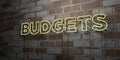 BUDGETS - Glowing Neon Sign on stonework wall - 3D rendered royalty free stock illustration Royalty Free Stock Photo