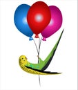 Budgie bird congrats with Birthday, bird and balloons