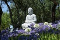 Budha