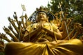 Budha 1000 hand Royalty Free Stock Photo