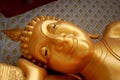 Budha head