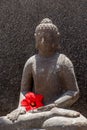 Budha with red flower Royalty Free Stock Photo