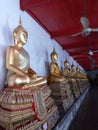 Budha Statues in State of Lotus