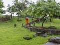 Budhist monk in a holly path