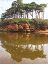 Budleigh Reflections