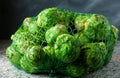 Buds of brussels sprouts wrapped in a plastic net Royalty Free Stock Photo