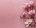 Buds magnolia branch with blooming pink flowers on soft pastel pink background with copy space Royalty Free Stock Photo