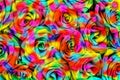 Buds of multicolored roses. Colorful background