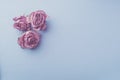 Buds of pink dry roses on a pastel blue background. Flat layout. Royalty Free Stock Photo