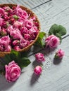 Buds of the tea roses in basket Royalty Free Stock Photo