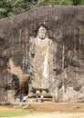 Buduruwagala Rock carvings full landscape view from a distance, nice and bright sunny day