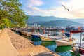 Budva marina with boats, beautiful harbour view, Montenegro Royalty Free Stock Photo