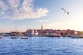 Budva Marina with yachts, sunny day in Montenegro Royalty Free Stock Photo