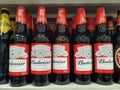 Budweiser alcohol beer bottles